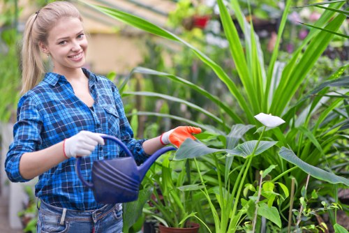 Landscaping team managing safe outdoor work with protective equipment