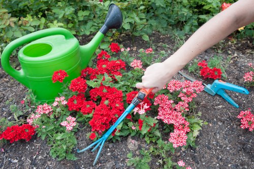 Front garden tidy-up pricing example for a compact Coneyhall property
