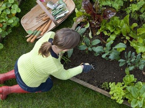 Decorative outdoor lights highlighting planting and seating areas