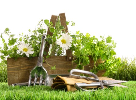 Recycling bins and recovered materials supporting sustainable landscaping