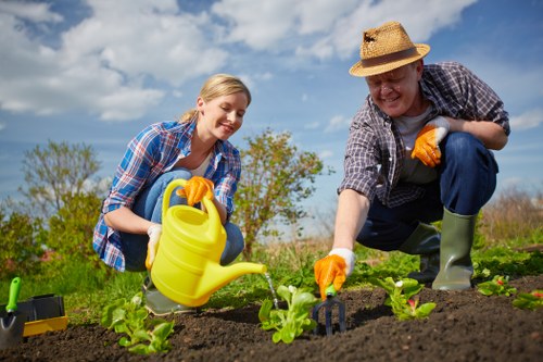 Professional garden redesign features including planting beds and patio space in Coneyhall