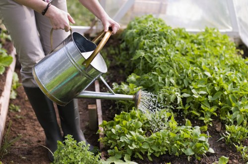 Balanced outdoor garden design in Coneyhall with focal planting